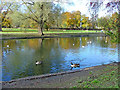 Wardown Park lake