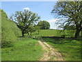 Footpath to the south of South Wood