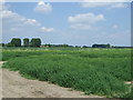 TF4212 : Farmland, Wrat Field by JThomas