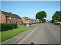 Houses in Jeffrey Lane, Belton