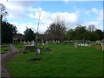 SU4774 : St Mary, Chieveley: churchyard (c) by Basher Eyre