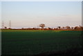 Suffolk farmland