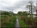 West Highland Way South of Laighparks