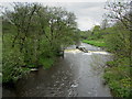 Endrick Water from Gartness Bridge