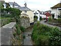 The River Lim and the leat for Town Mill