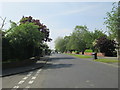 Whinmoor Gardens - viewed from Whinmoor Court