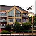 Belfast - City Centre - Sea Gull on Light Fixture