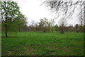 Wandsworth Common