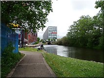 SJ8598 : Ancoats angler above lock 2 on the Ashton Canal by Christine Johnstone