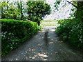 Footpath reaches lane at West Meon Woodlands