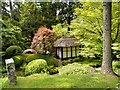SJ7481 : Tatton Park Japanese Garden and Tea House by David Dixon