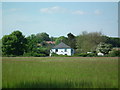 Across the barley to Raspberry Cottages in White Gap Lane