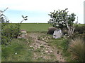 SH4787 : Old stone gateposts on the Anglesey Coastal Path by Eirian Evans