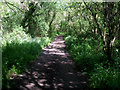 Byway between Ravensroost Wood and Kemble