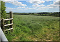 Field near Nineoaks