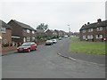 Starbeck Road - Ivy Lane