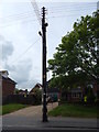 Telegraph pole, The Avenue, Wivenhoe