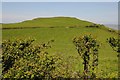 Hill fort on Cilifor Top