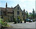 Mentmore - The Stag