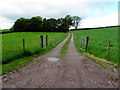 Lane, Drumconnelly