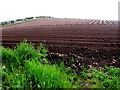 Ploughed field, Tattyreagh Glebe