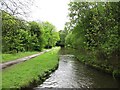 Narrows on the Peak Forest Canal, west of bridge 28