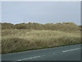 Dunes beside Coastal Road