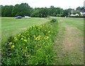 Drainage ditch on Stamford Green