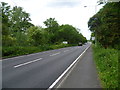 Rushett Common alongside Leatherhead Road