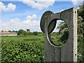 View Past a Moon Sculpture