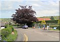 Lowdale Lane from A169