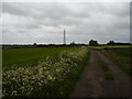 Communications Mast outside Shrewton