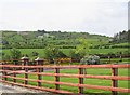 View towards the Carrickgallogy Road from the descending Lurgana Road