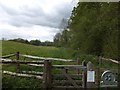 Path through Woolbeding Parkland