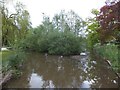 South Pond, Midhurst