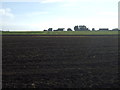 Farmland towards Barton