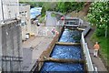 Fish ladder, Pitlochry dam