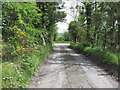 The local access lane at its junction with Carrickananny Road