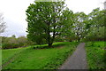 The West Highland Way through Allander Park