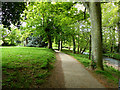 Footpath in The Byes