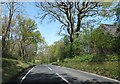 B3081 passing Deer Park Farm