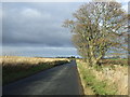 Country road heading north, Middle Ardo