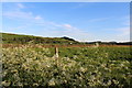 Farmland at Ringford