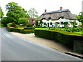 Attractive cottage by Langrish