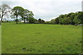 Farmland near Dundonald