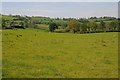 Farmland around Cae-gwyn