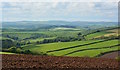 View over farmland towards Tregavithick Wood, Trenewan, Cornwall