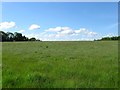 Great Barn Field