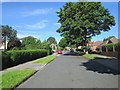 Reinwood Avenue - viewed from Fearnville Terrace