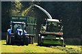 Silage harvesting at Newcott, Devon